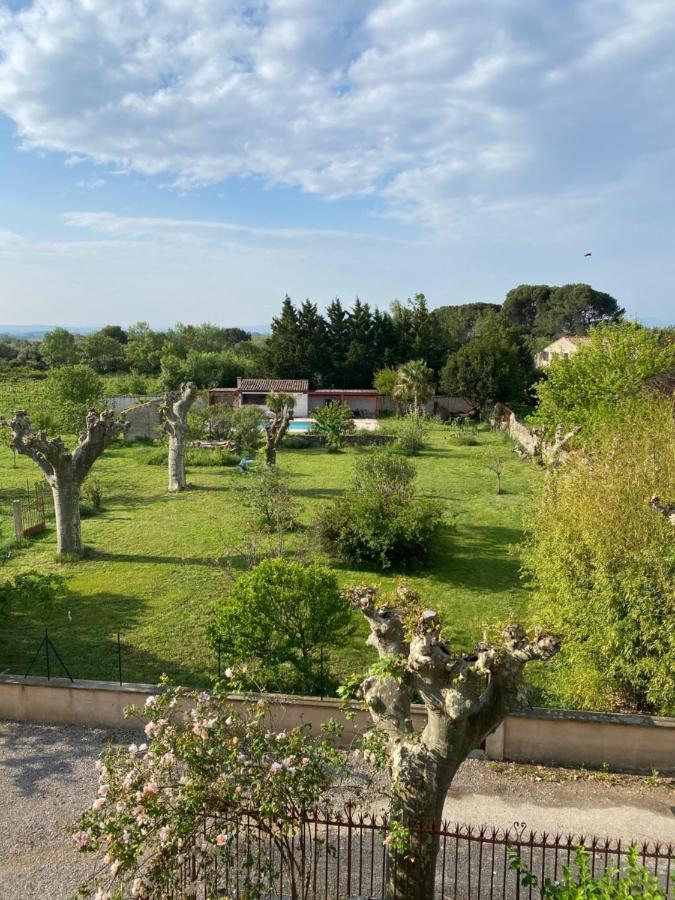 Peyriac-Minervois Le Relais D'Affiac B&B 외부 사진