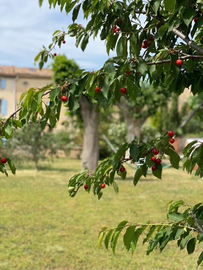 Peyriac-Minervois Le Relais D'Affiac B&B 외부 사진
