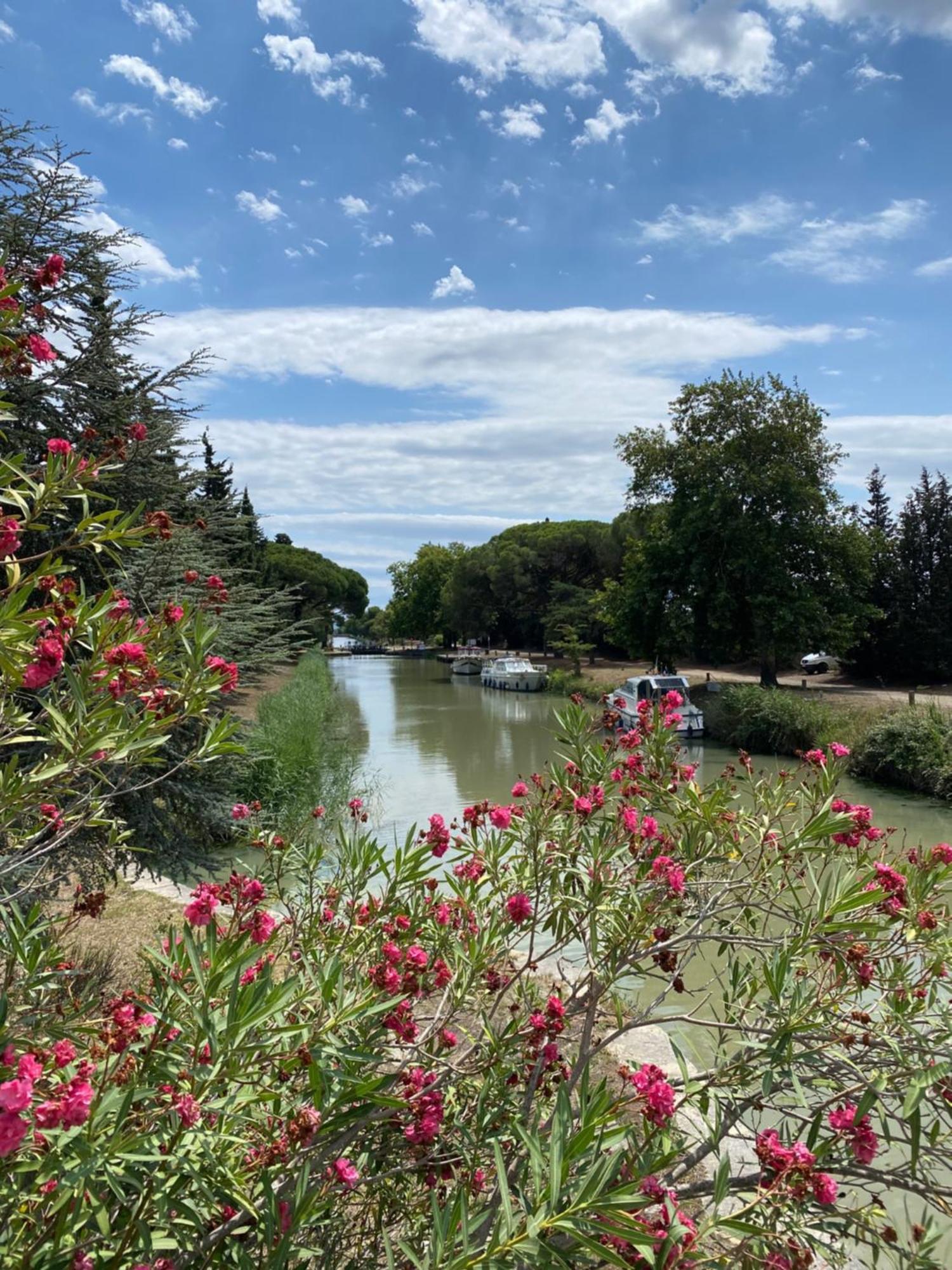 Peyriac-Minervois Le Relais D'Affiac B&B 외부 사진